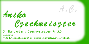 aniko czechmeiszter business card