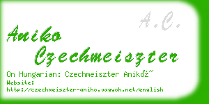 aniko czechmeiszter business card